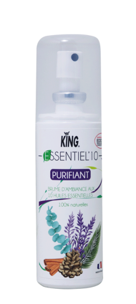 Essentiel 10 Purifiant Ecocert Désodorisants